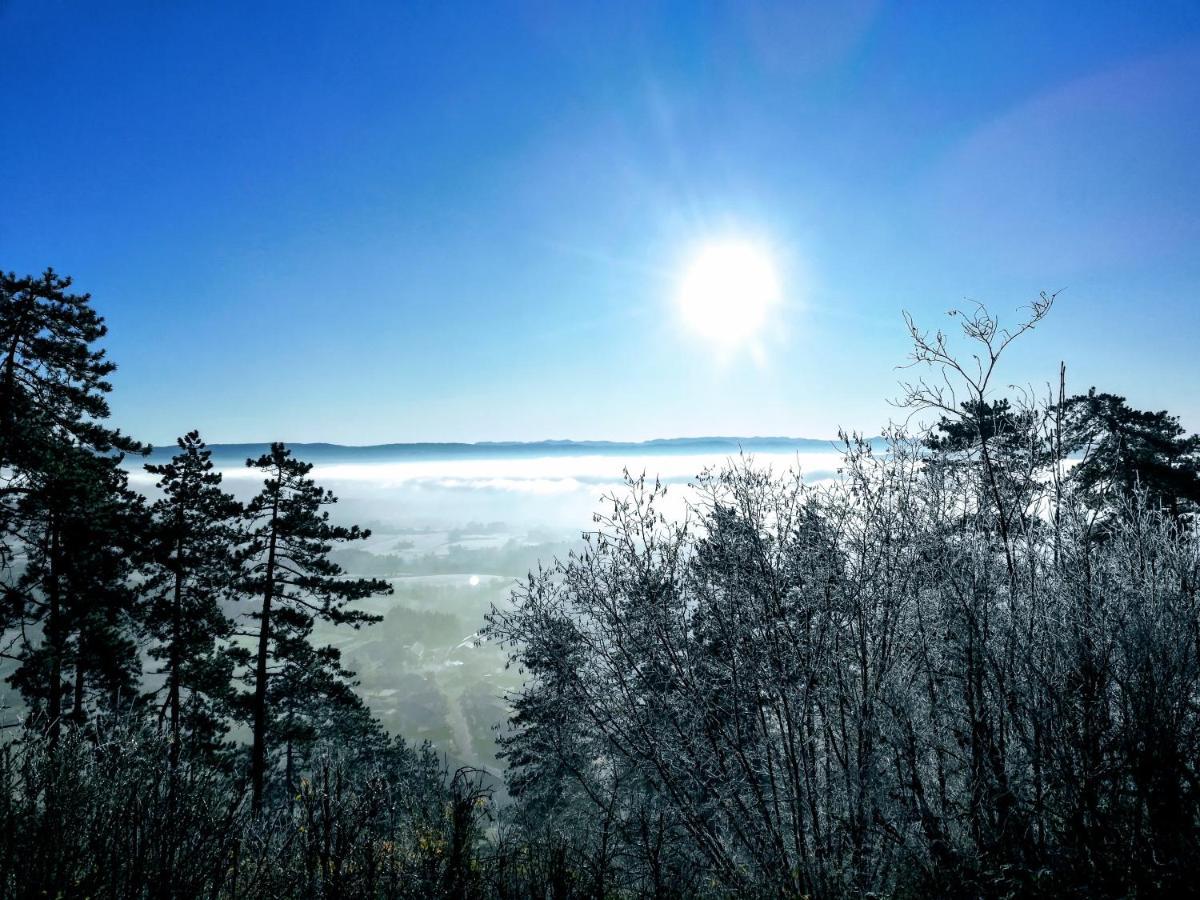 Appartement La Bernardine Au Coeur Du Jura Orgelet Luaran gambar